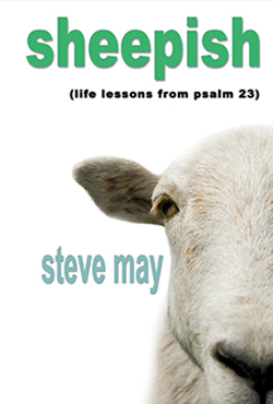 Steve May - Sheepish