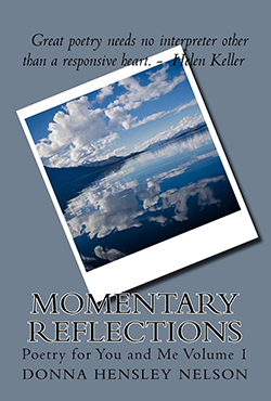 Momentary Reflections - Donna Nelson